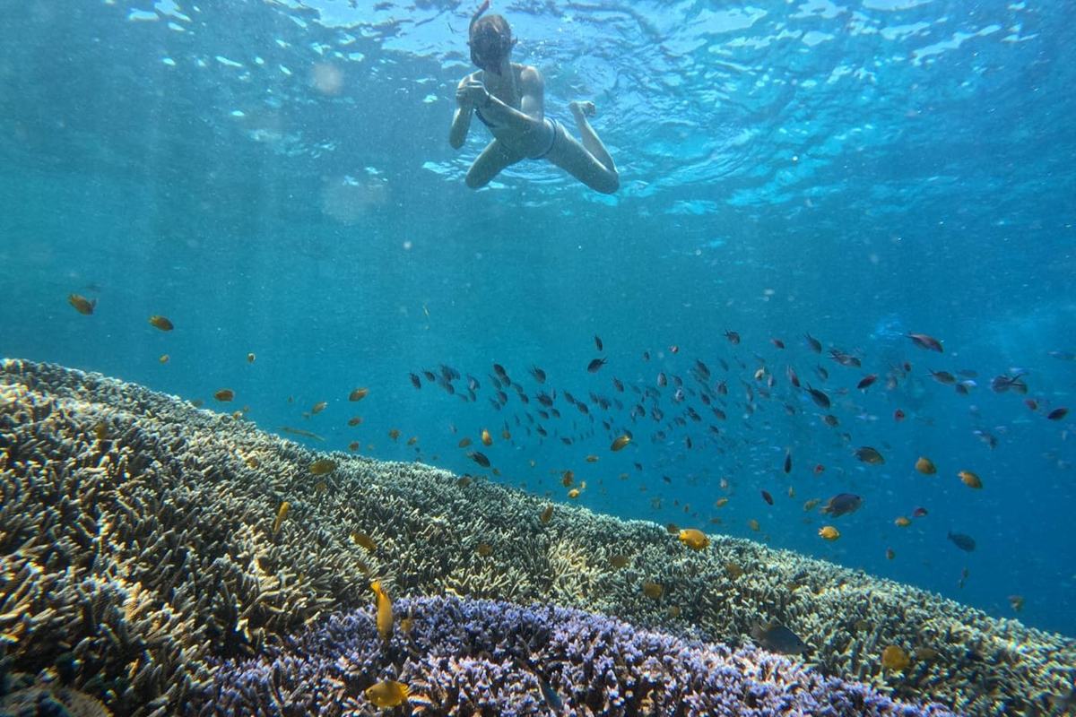 Snorkeller over the reef in the clear water off Nusa Penida