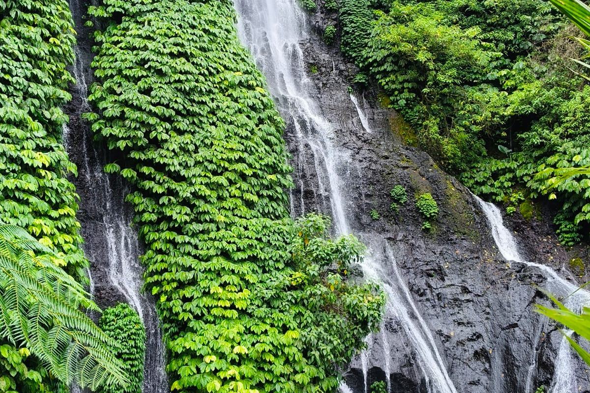 Tall waterfall dropping through dense green jungle
