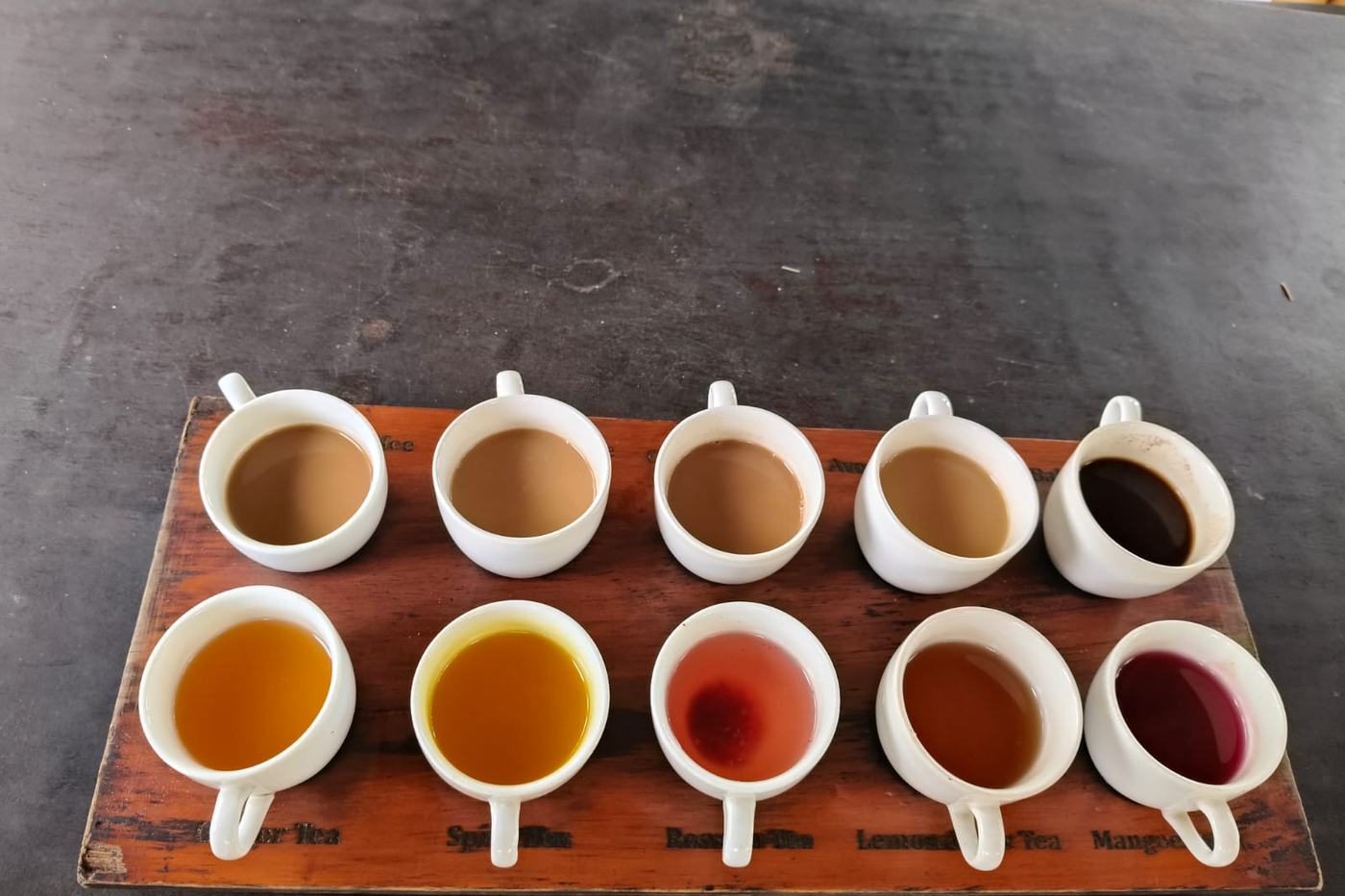 Row of Balinese coffee and tea tasting cups