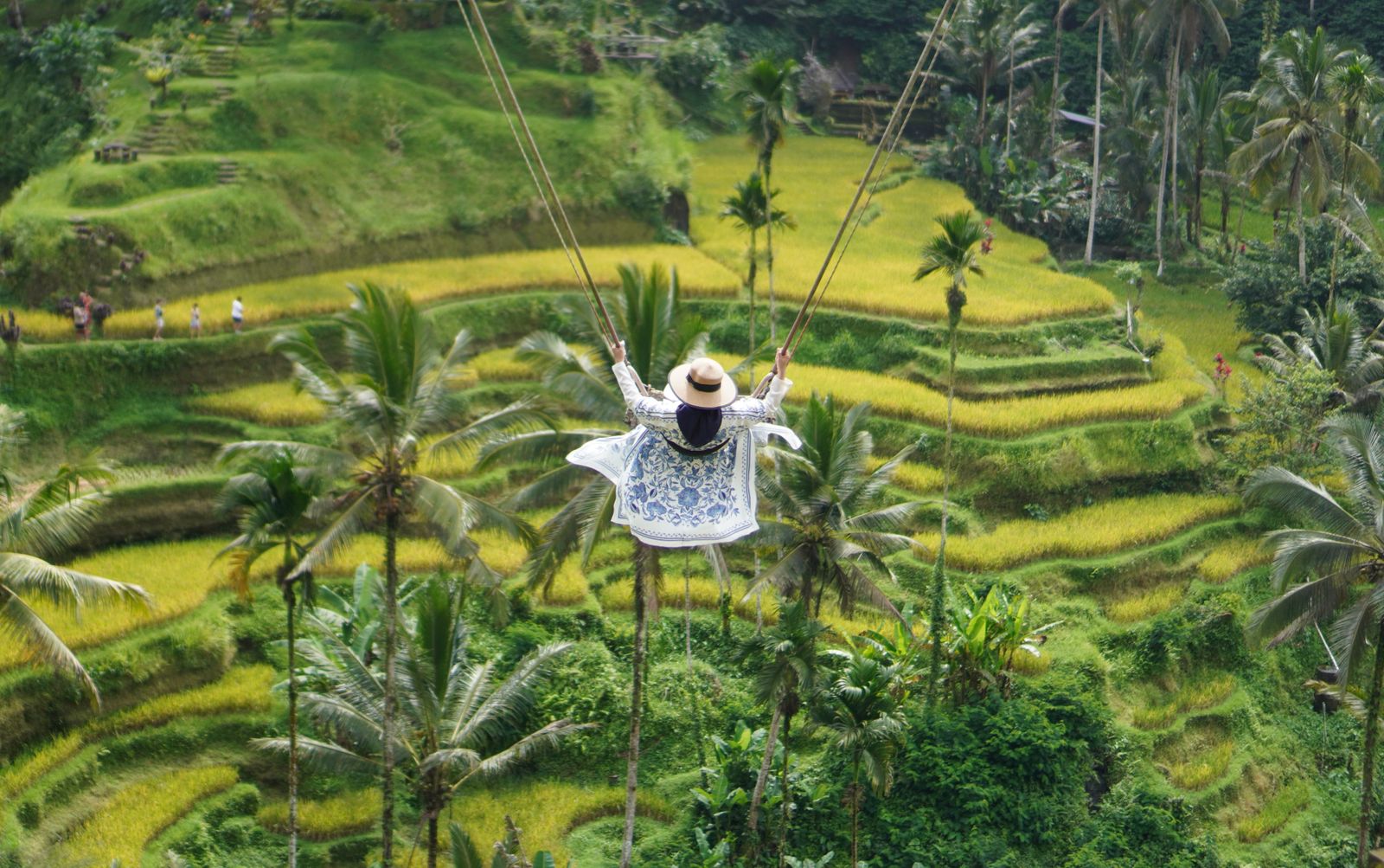 Swing over the rice terraces near Ubud