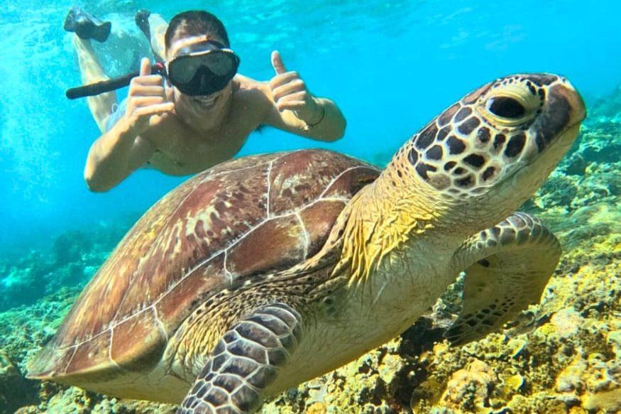 Guest giving a thumbs-up next to a sea turtle underwater