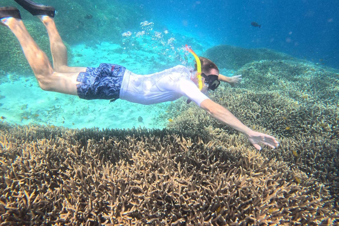 Snorkeller gliding above a field of staghorn coral